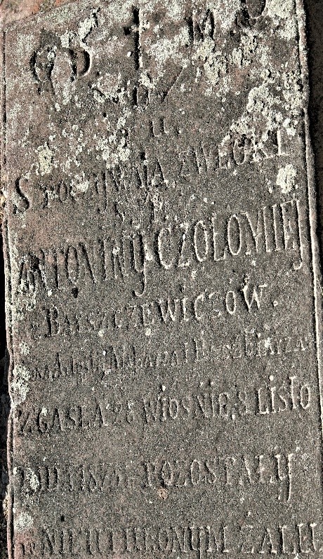 Płyta nagrobna Antoniny Czołomiej