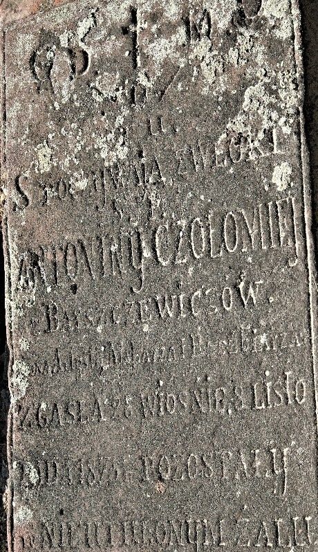 Płyta nagrobna Antoniny Czołomiej